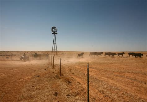 Town A Dust Bowl Survivor Endures Another Blow The New York Times