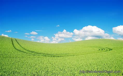 Beautiful Green Landscape Wallpaper Windows 10 Wallpapers