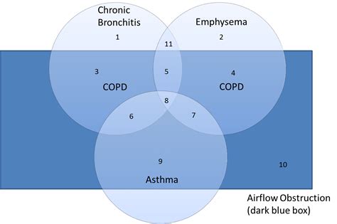 Copd معنى Copd Stages Causes Treatment And More Chronic Obstructive
