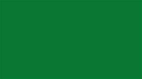 2560x1440 La Salle Green Solid Color Background