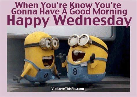 Happy Wednesday Minions Funny Minion Quotes Minions Funny
