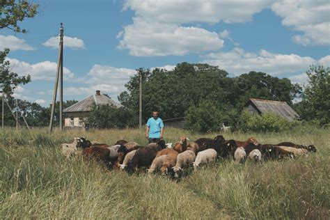 How Milk Farmers In Belarus Reduced Food Loss And Increased Their