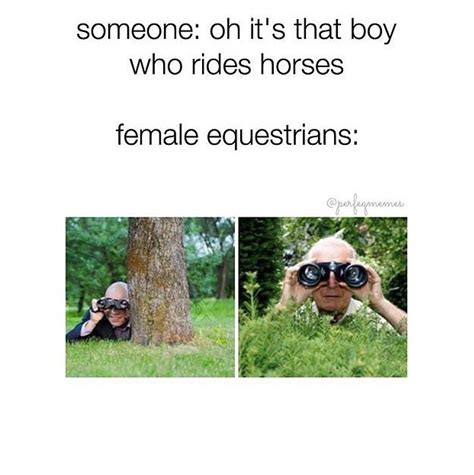 Ya But I Wouldnt Be Staring At Him Id Just Be Staring At His Horses