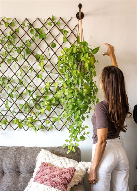 Diy Plant Wall For Under 100 Theincogneatist Plant Decor Indoor