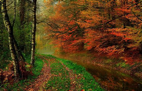 Wallpaper Autumn Forest Leaves Water Trees Nature River Hdr