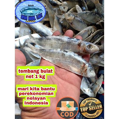 Jual Ikan Asin Tembang 1 Kg Shopee Indonesia