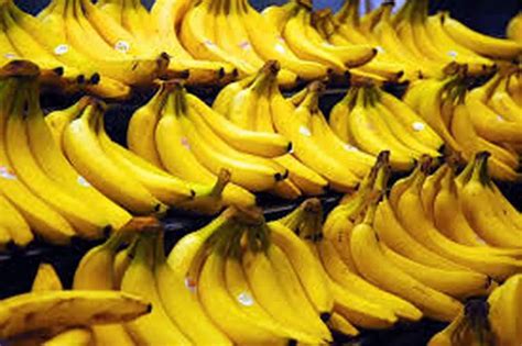 Bananas Could Face Extinction Thanks To Tropical Disease Killing Crops