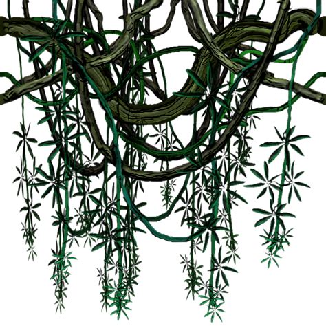 Wild Flower With Vines Drawing The 25 Best Vine Drawing Ideas On