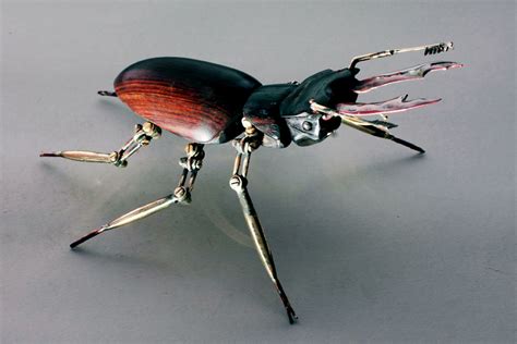 Nik Burns Sculptorarticulated Stag Beetle Nik Burns Sculptor