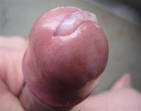Penis Cum Close Up