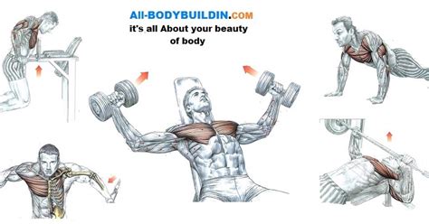 Best Chest Workouts Top 5 Proven Workouts Bodydulding
