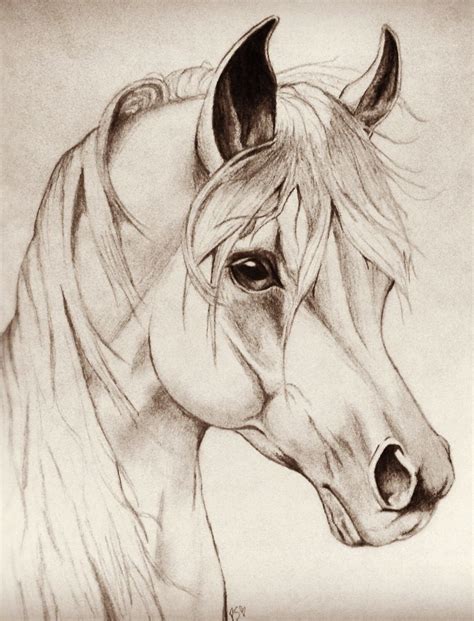 Horse Head Drawing Easy At Explore Collection Of
