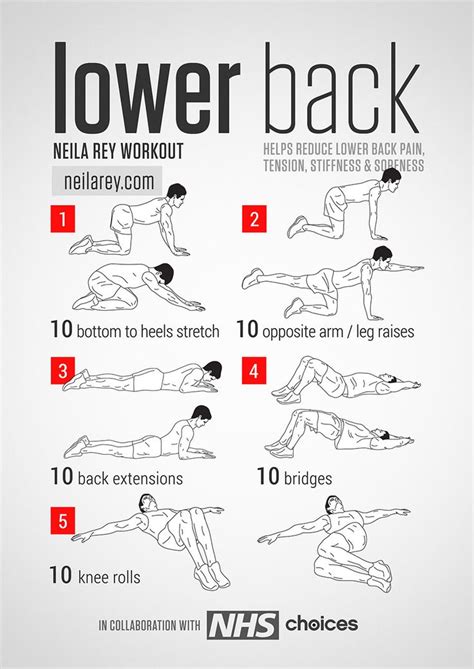 Back Strengthening Exercises Back Strengthening Exercises 7 Weeks