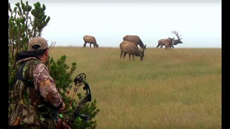 Hunting Big Rutting Bull Elk In New Mexico Part 1 Youtube