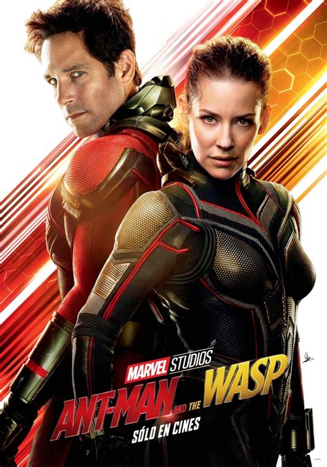 A subreddit dedicated to marvel studios and the marvel cinematic universe!. Ant-Man and the Wasp DVD Release Date | Redbox, Netflix ...