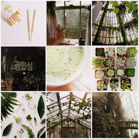 Green Tea Aesthetic Símply Aesthetíc Amino