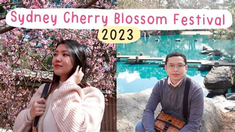 Sydney Cherry Blossom Festival Youtube
