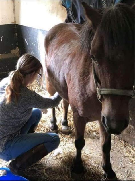 Artofzoo самые горячие модели. Video bokep kuda. Video bokep kuda. Video bokep kuda. Jessica iskandar.