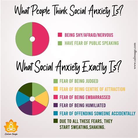 Social Anxiety Increases Visible Anxiety Signs During Social Encounters