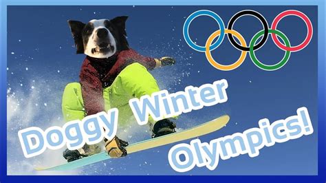 Doggy Winter Olympics Pyeongchang 2018 With Milo The Dog Dog Sport