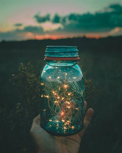 That's just aesthetically pleasing, ain't it? Pin by ᴋɪᴍᴄʜɪ on R A N D O M | Fairy light photography ...
