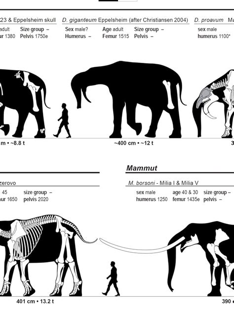 Largest Land Animal Ever