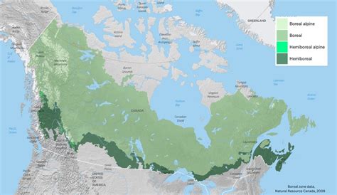 Canadian Forest Map