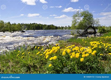 River Flowing Downstream Stock Photo Image Of Blue Beautiful 14469172
