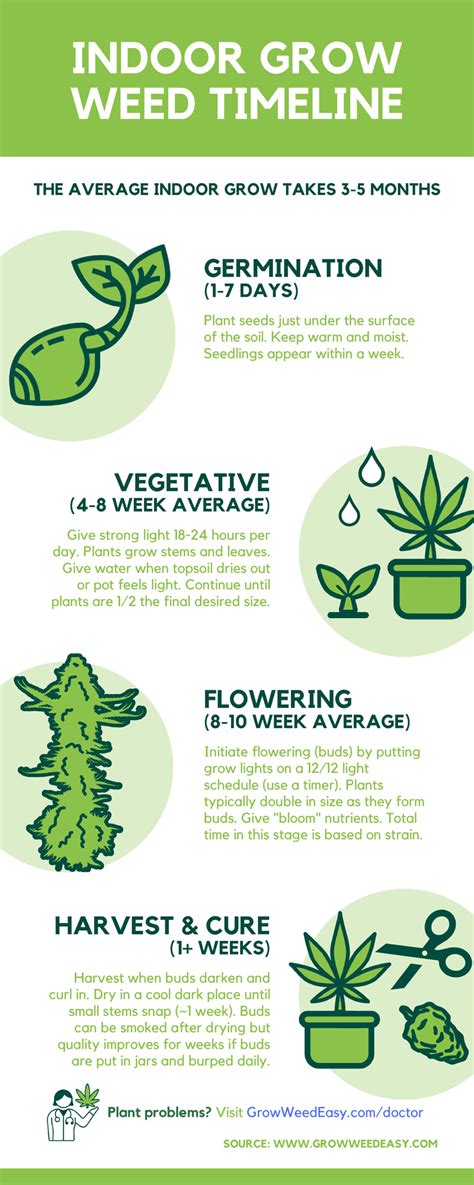 How Long Does It Take To Grow Weed Indoors 3 To 5 Months Grow Weed