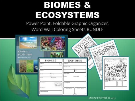 Biomes And Ecosystem Power Point Graphic Organizer For Inb And Word