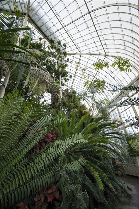 The Palm House At The National Botanic Gardens Opw National Botanic
