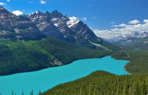 The Stunning Peyto Lake In Albertacanada Nature P0rn