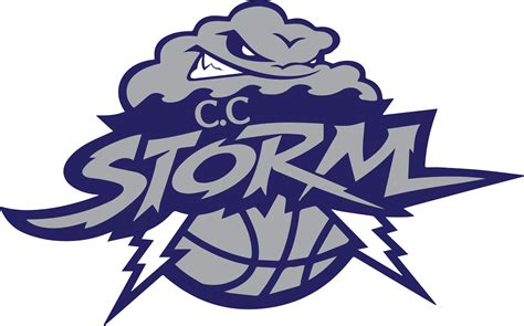 Storm Logo Your Resource To Get Inspired Discover And Connect With