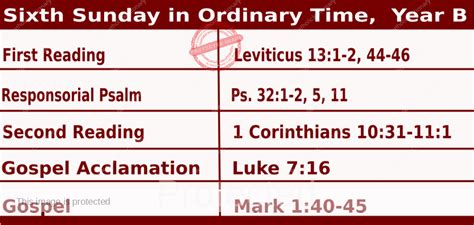Sunday Mass Readings For February 11 2024 Sixth Sunday Ordinary Time