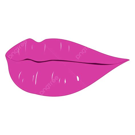 Lips Transpar Clipart Vector Pink Purple Female Lips Transparent Png
