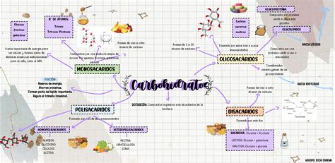 MAPA Mental de los Carbohidratos hidratos de carbono y sus características Biologia Studocu