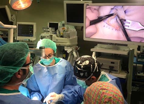 Cirugía De La Mano Y Microcirugía