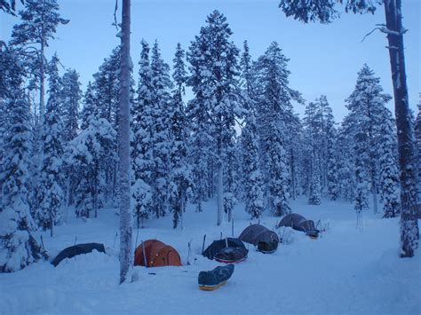 Cool Camping In Arctic Taiga Of Northern Finland Photograph By Eugene