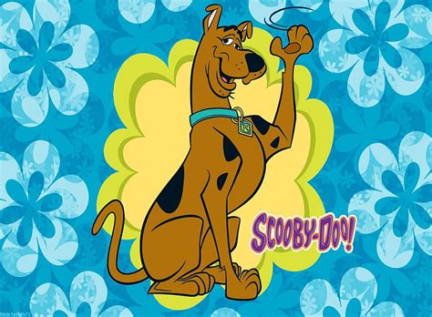 2024 Scooby Doo Cartoons Hd Wallpaper 800x588 354644