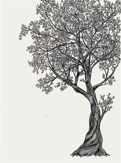 Tree Of Life By Arganthone On Deviantart