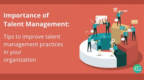 Importance of Talent Management and It's Best Practices - Recruiter's blog