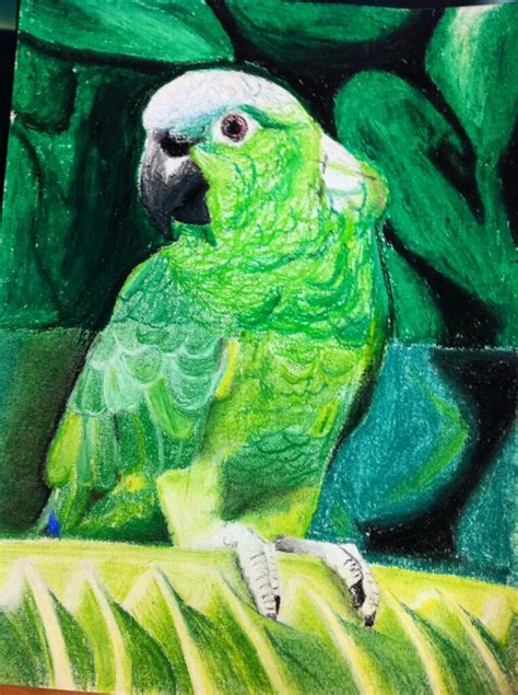 Oil And Chalk Pastel Bird By Butterlord120 On Deviantart