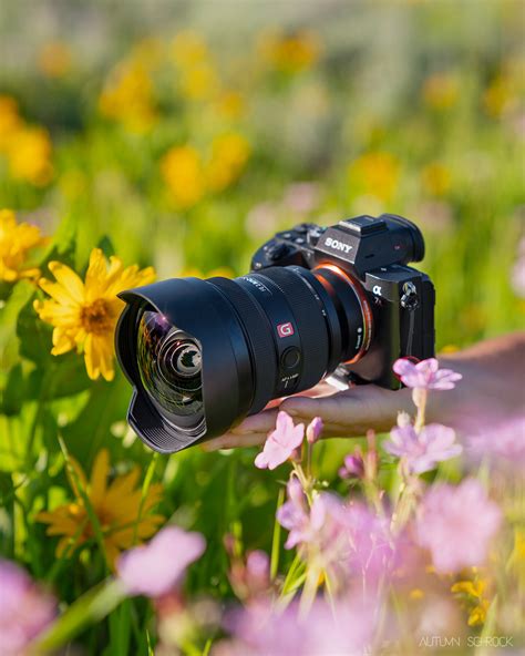 Sony Fe 12 24mm F28 G Master Lens Review — Autumn Schrock
