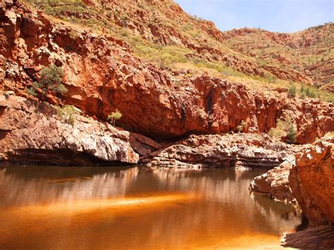 Finke Gorge and Palm Valley Day Tour by 4WD Coach from ...