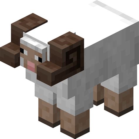 Horned Sheep Official Minecraft Wiki