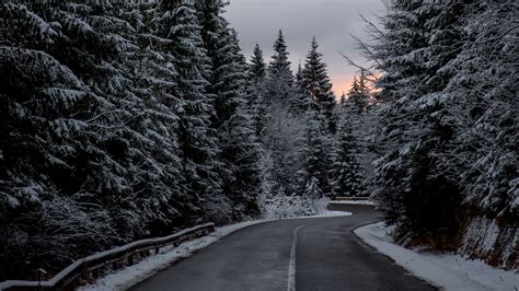 Trees Road Winter Snow 4k Winter Trees Road Nature Photography
