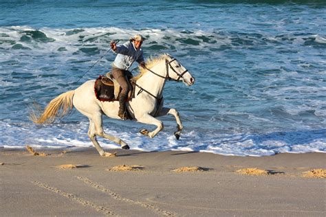 Portugal Riding Holiday 7 Horse Riding Holidays And Safaris