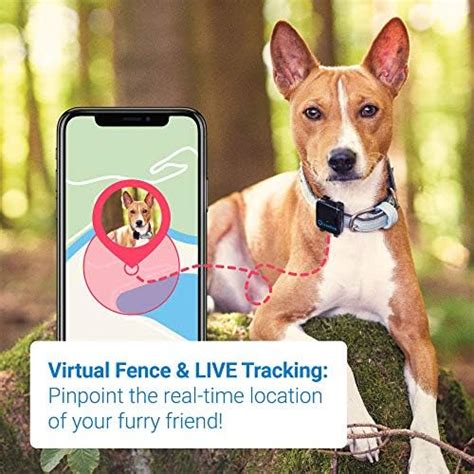 Tractive 3g Gps Dog Tracker Dog Tracking Device With Unlimited Range