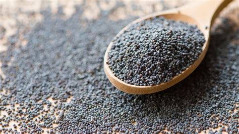 They are used (both in the whole and ground forms) as an ingredient in several dishes. Yes, Poppy Seeds Contain Opiates, And Here's What You Need ...