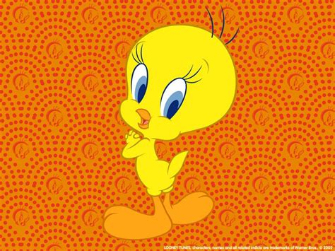 Wallpapers Piolin Ideas And Consejos